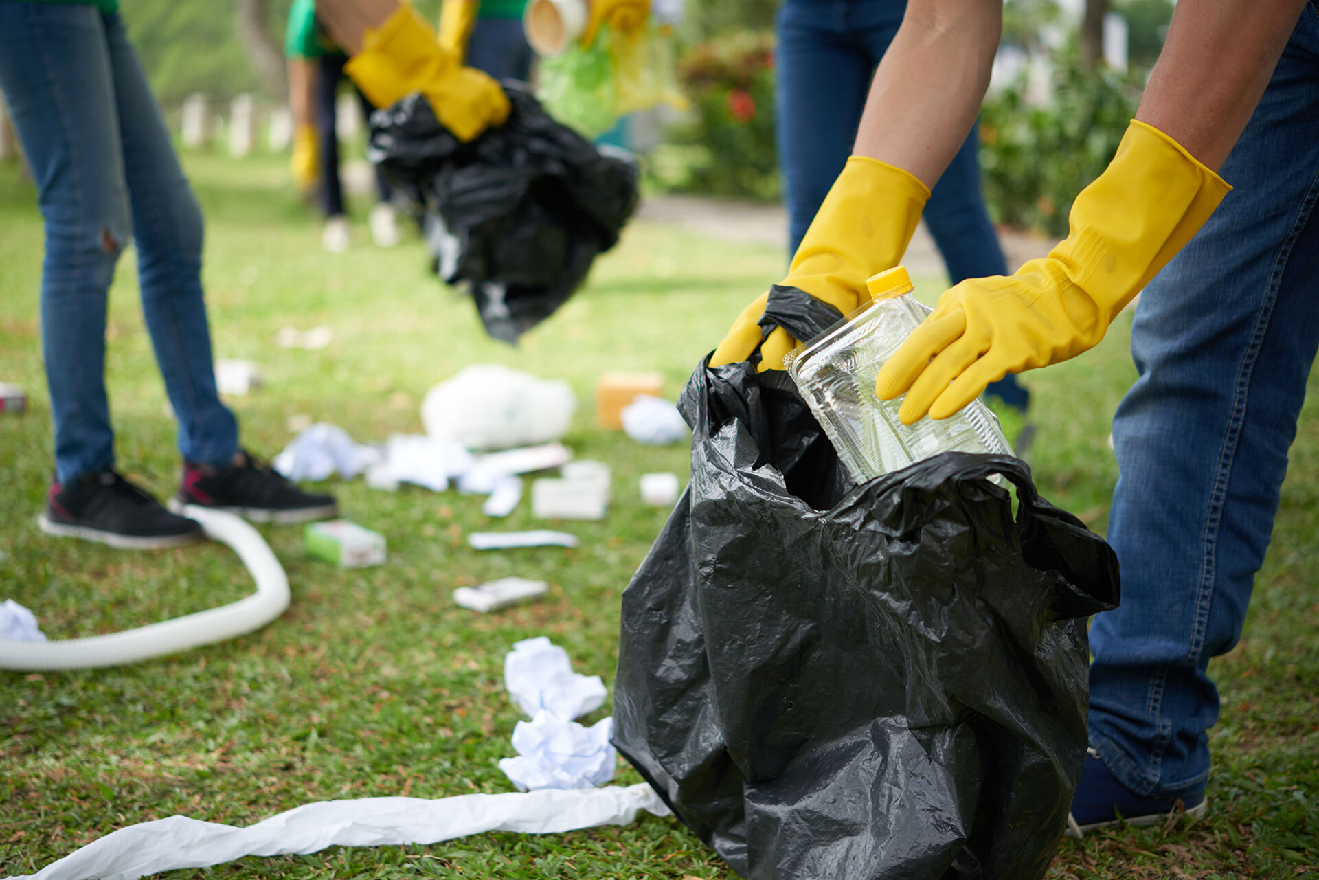 Lawn and Yard Waste Clean Up